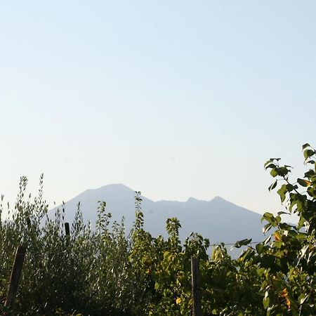 Agriturismo A do' Cumparone Corbara (Campania) Exterior foto